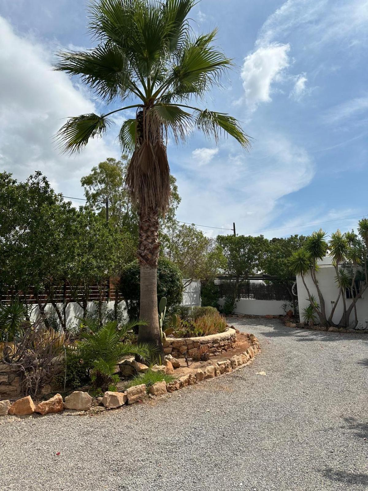 Micasa Ibiza Villa San Antonio  Eksteriør bilde