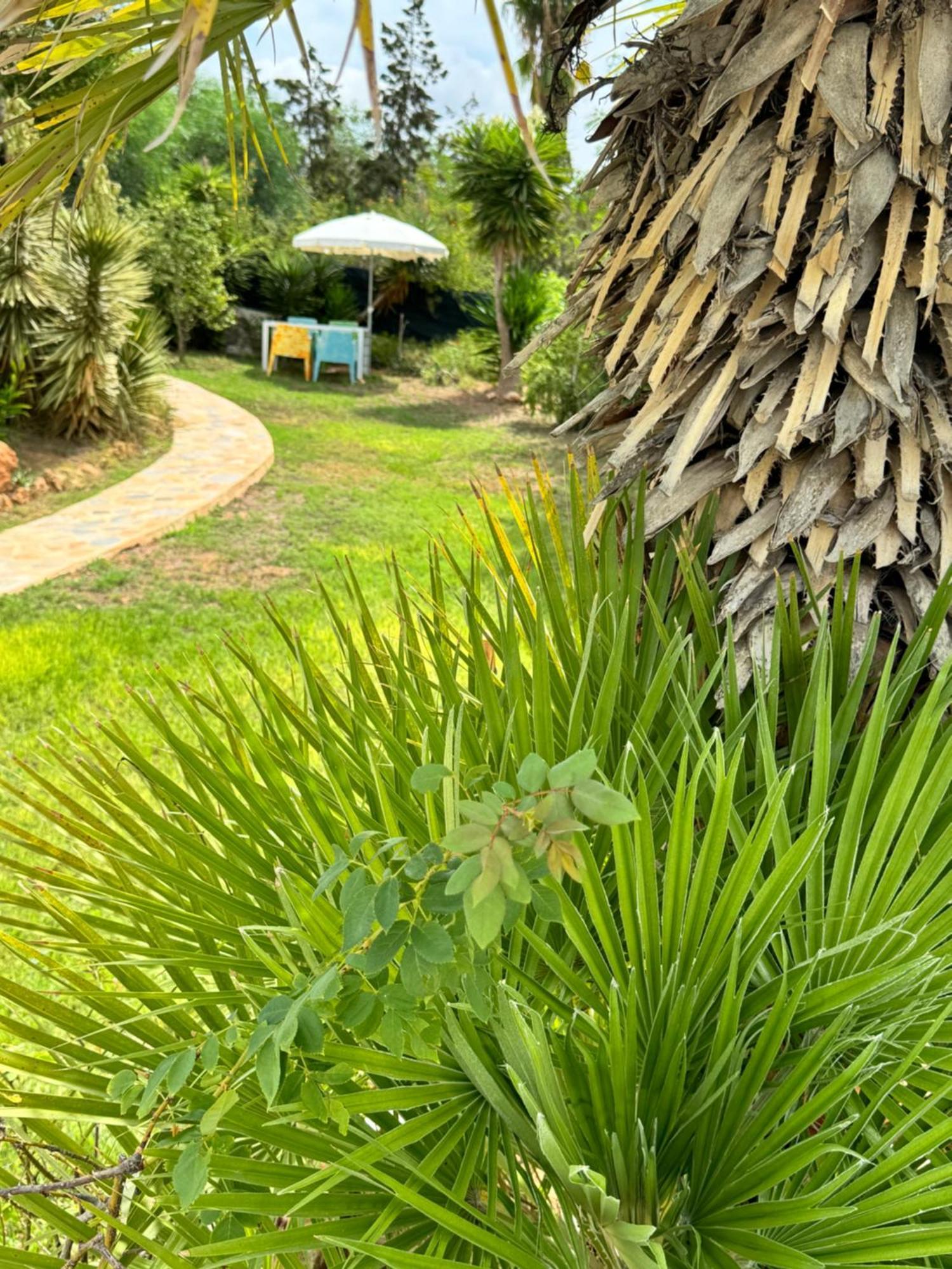 Micasa Ibiza Villa San Antonio  Eksteriør bilde