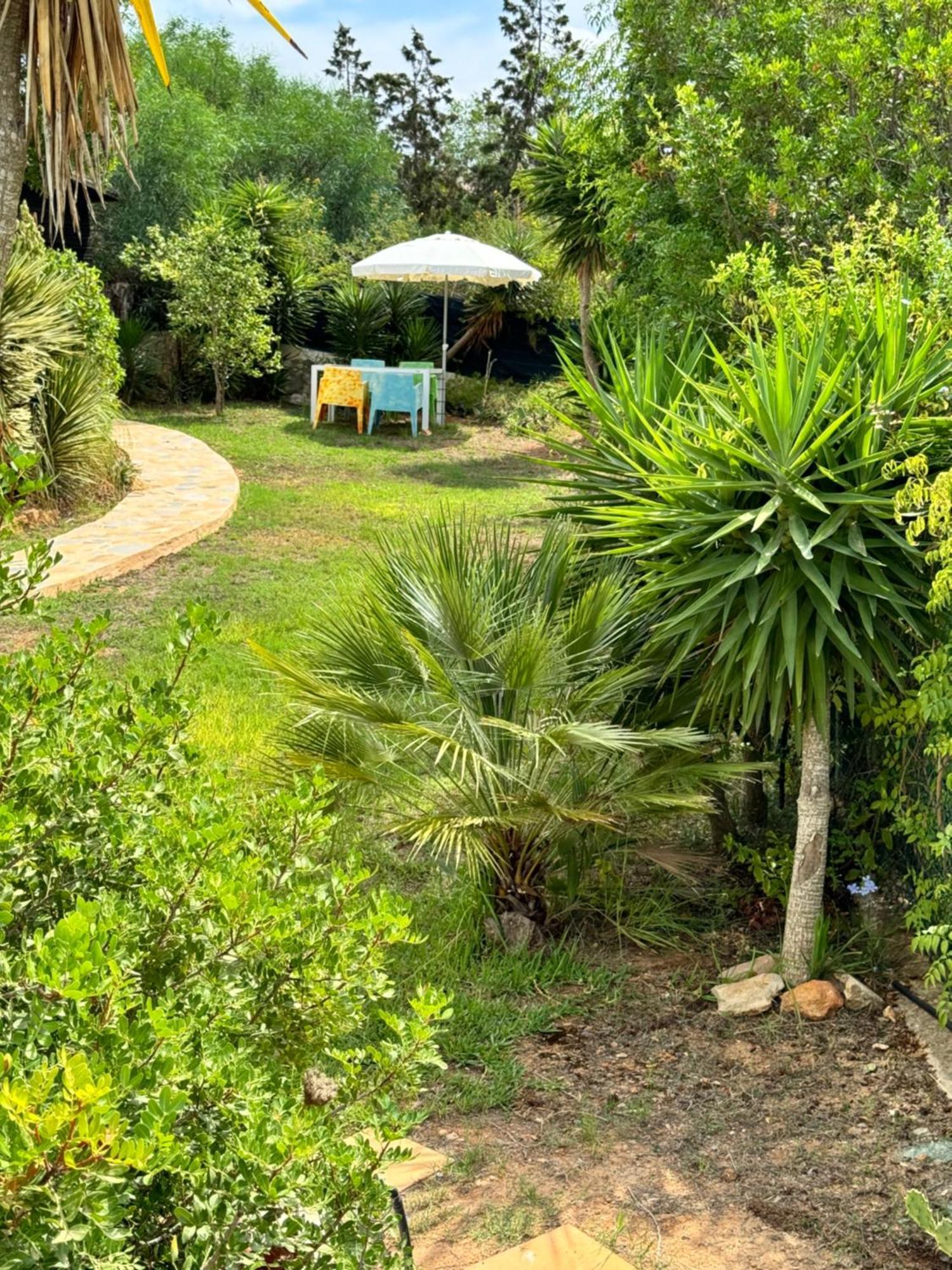 Micasa Ibiza Villa San Antonio  Eksteriør bilde