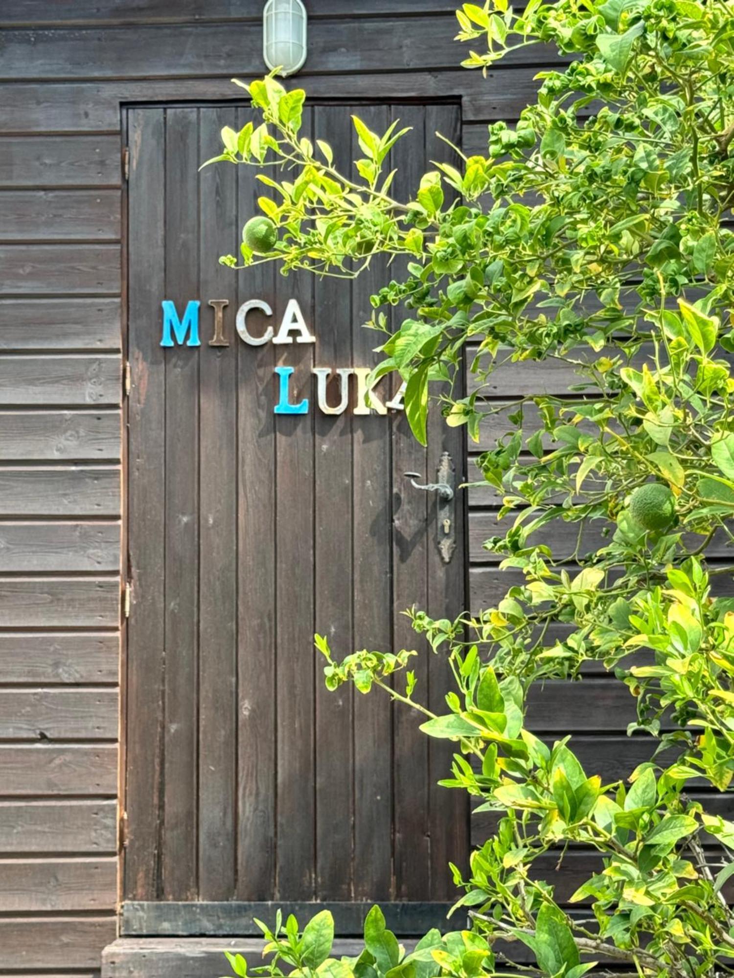 Micasa Ibiza Villa San Antonio  Eksteriør bilde